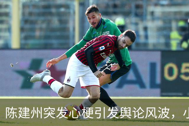 陈建州突发心梗引发舆论风波，小S情感回应引人深思