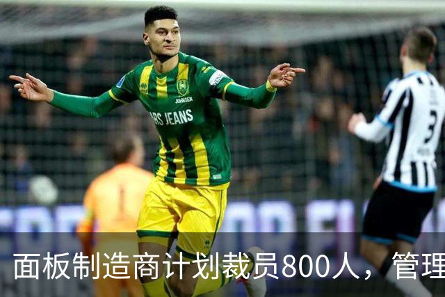 面板制造商计划裁员800人，管理层变动引关注