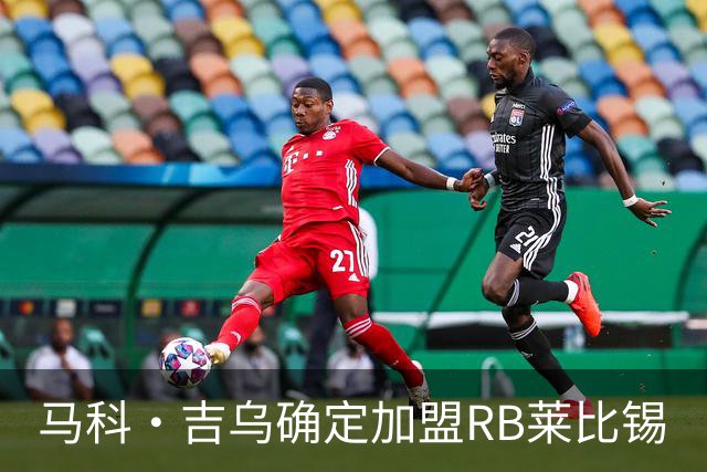 马科·吉乌确定加盟RB莱比锡