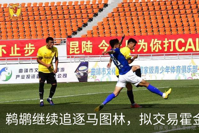 鹈鹕继续追逐马图林，拟交易霍金斯腾薪