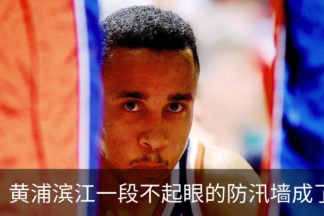 黄浦滨江一段不起眼的防汛墙成了热门休憩吧台
