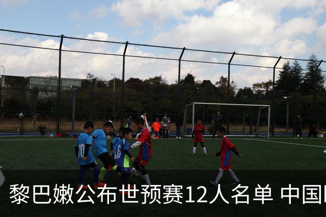 黎巴嫩公布世预赛12人名单 中国盼在诸暨拿首胜