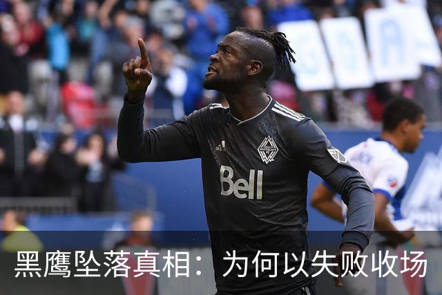 黑鹰坠落真相：为何以失败收场
