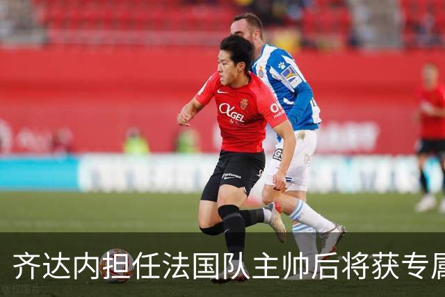 齐达内担任法国队主帅后将获专属安保