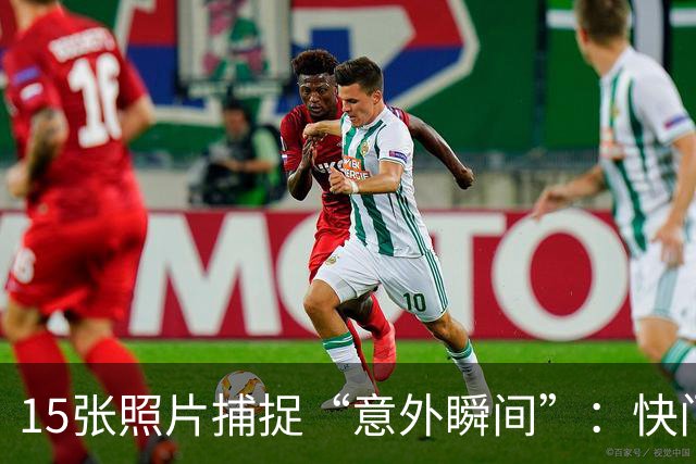 15张照片捕捉“意外瞬间”：快门背后的尴尬