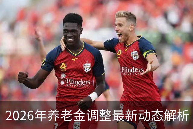 2026年养老金调整最新动态解析