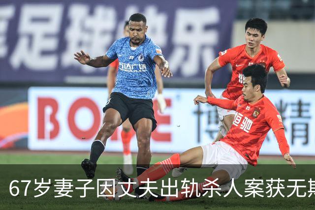 67岁妻子因丈夫出轨杀人案获无期徒刑